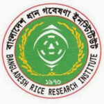 Bangladesh Rice Research Institute (BRRI)