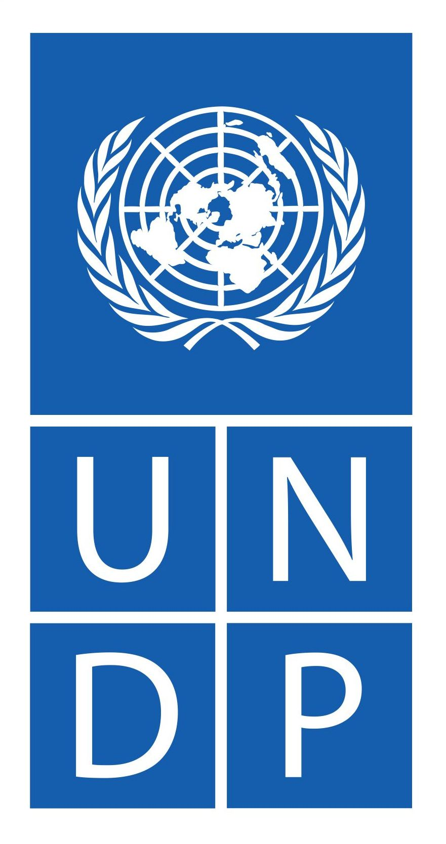 United Nations Development Programme (UNDP)