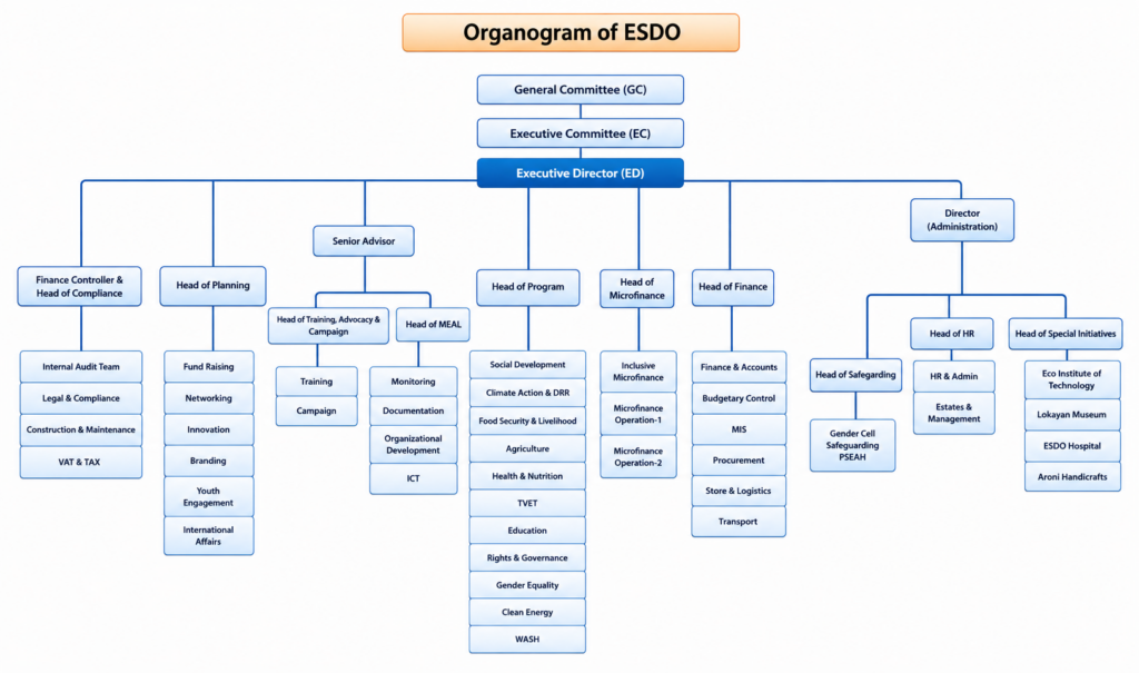 Governance Structure