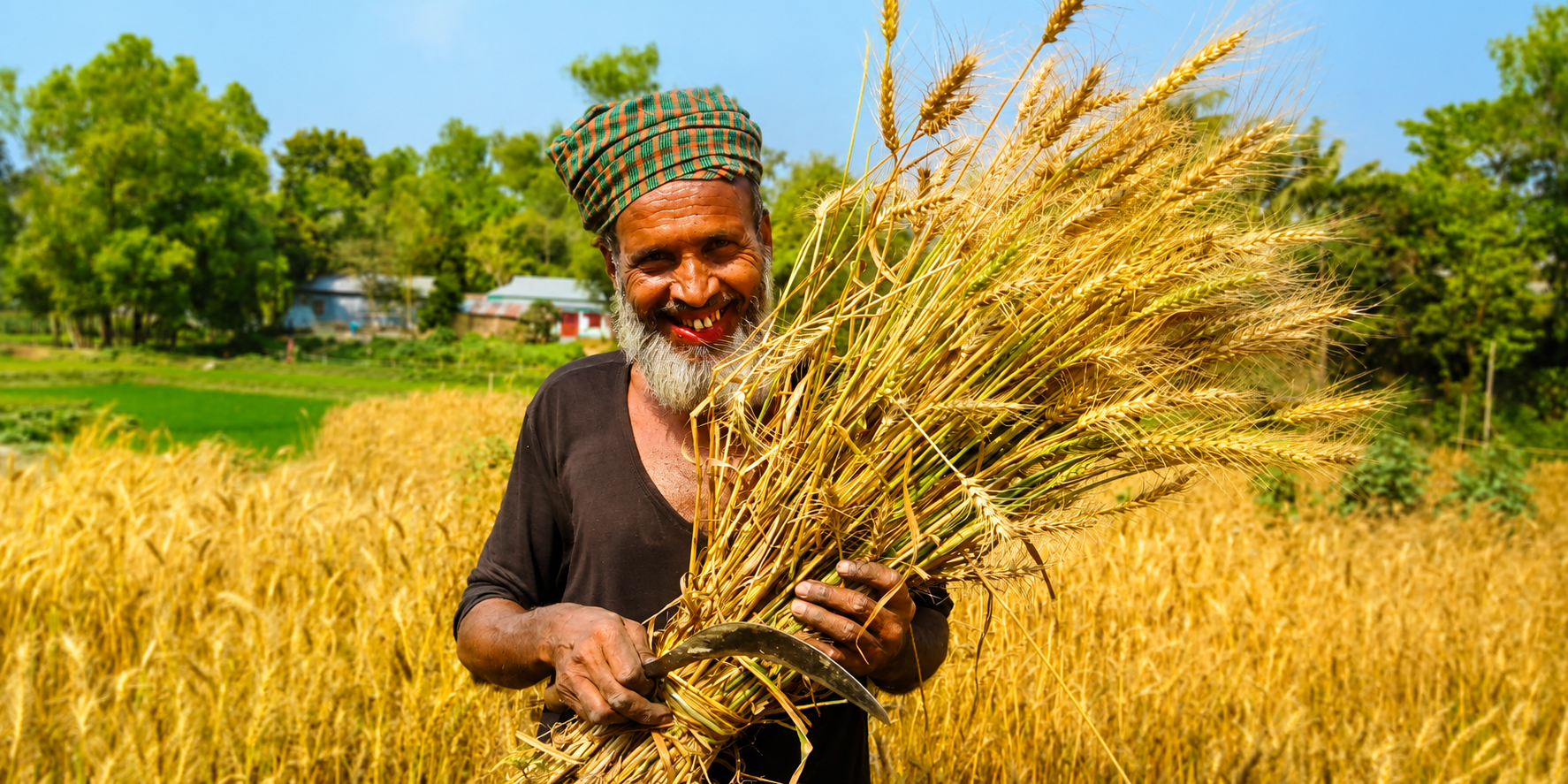 Smiling farmer in golden wheat field