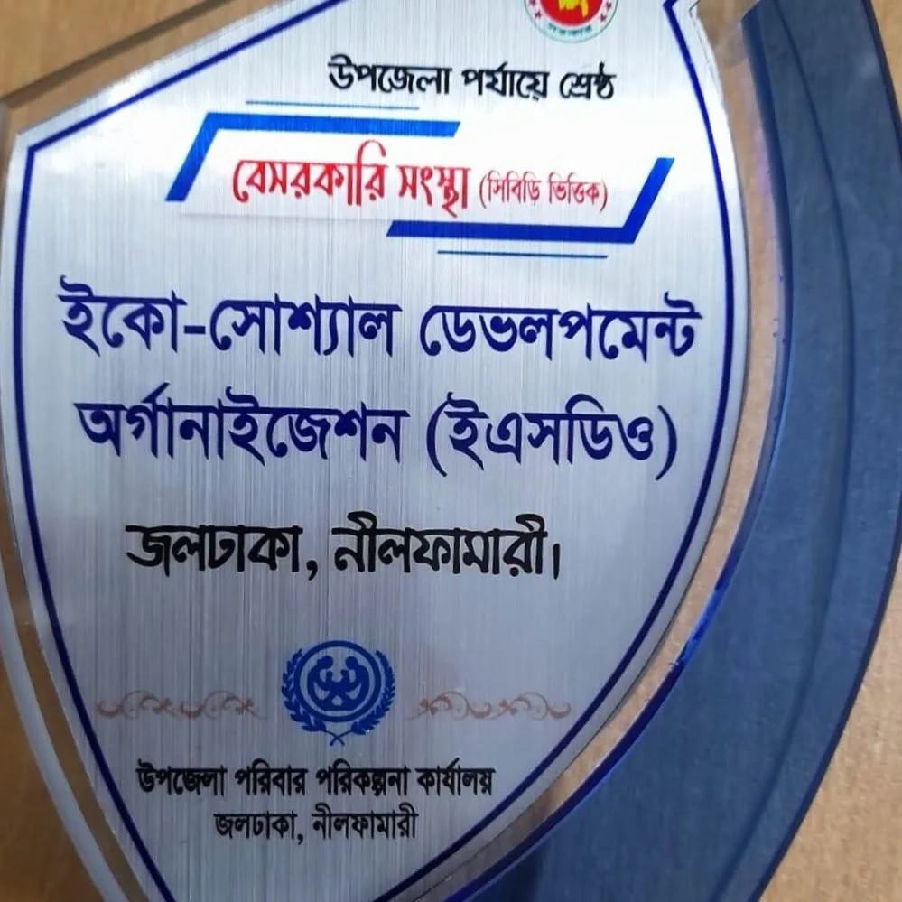 ESDO received the award for the best non-governmental development organization at the upazila level