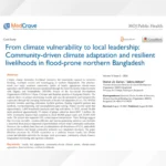 ESDO's Climate Adaptation Activities in an International Journal